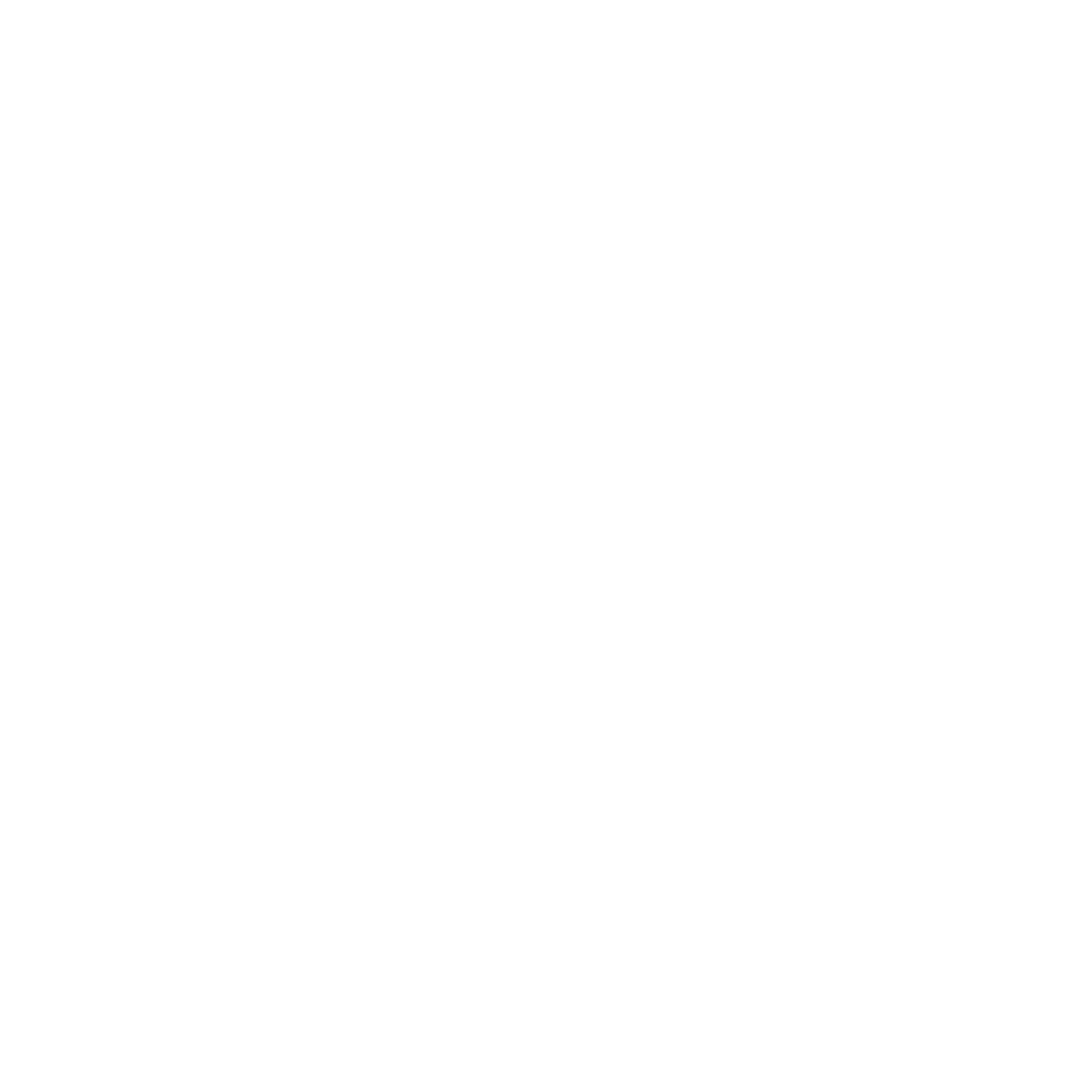 logo-png-pye-BRANCO