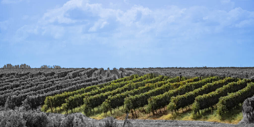 meu-terroir-1024x683-panorama-az