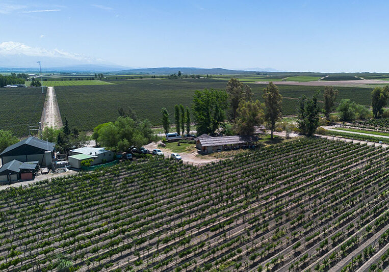 terroir-de-mendoza